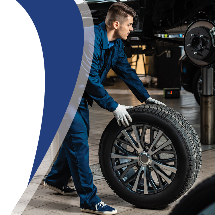 Tire & Wheel Protect